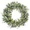 30" Green Spring Eucalyptus & Creeping Jenny Wreath